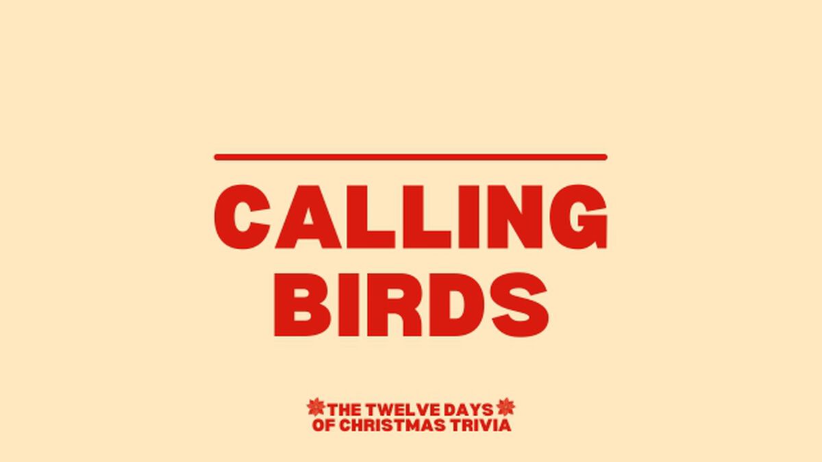 The Twelve Days Of Christmas Trivia image number null